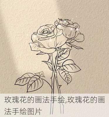 玫瑰花的画法手绘,玫瑰花的画法手绘图片