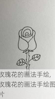 玫瑰花的画法手绘,玫瑰花的画法手绘图片-第2张图片-花卉百科