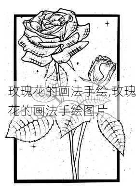 玫瑰花的画法手绘,玫瑰花的画法手绘图片-第3张图片-花卉百科