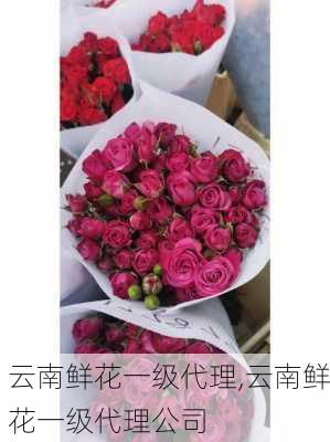 云南鲜花一级代理,云南鲜花一级代理公司