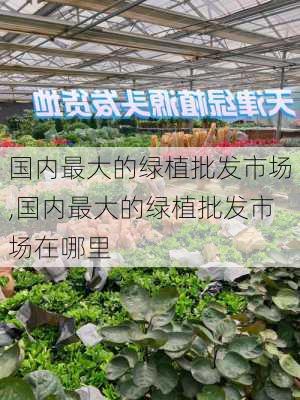 国内最大的绿植批发市场,国内最大的绿植批发市场在哪里