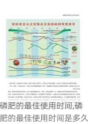 磷肥的最佳使用时间,磷肥的最佳使用时间是多久-第2张图片-花卉百科