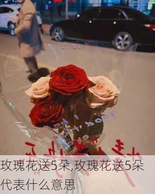 玫瑰花送5朵,玫瑰花送5朵代表什么意思-第1张图片-花卉百科