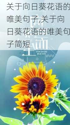 关于向日葵花语的唯美句子,关于向日葵花语的唯美句子简短-第3张图片-花卉百科