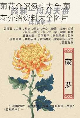 菊花介绍资料大全,菊花介绍资料大全图片-第1张图片-花卉百科